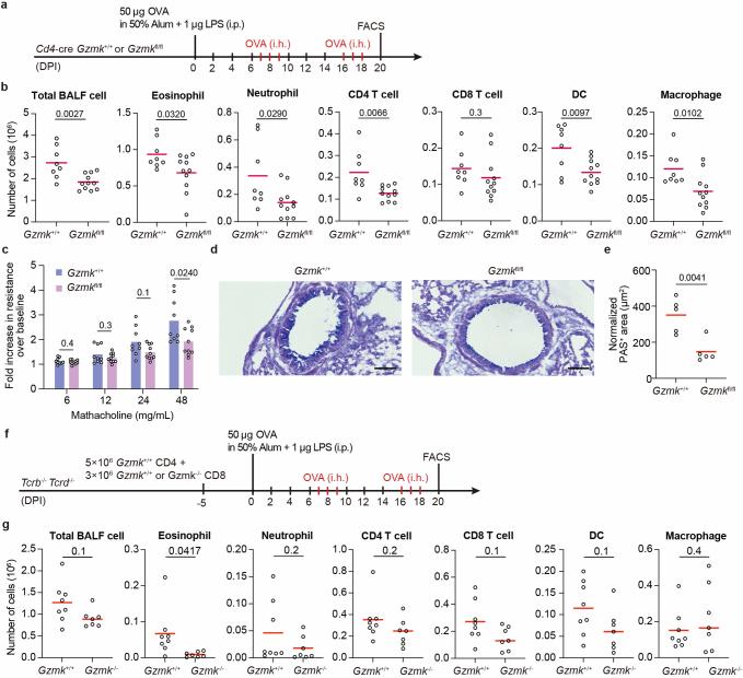 https://cdn.ncbi.nlm.nih.gov/pmc/blobs/fb71/11821540/17637951c05f/41586_2024_8395_Fig13_ESM.jpg