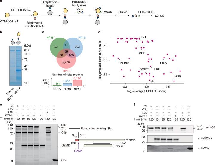 https://cdn.ncbi.nlm.nih.gov/pmc/blobs/fb71/11821540/49e458ee6c56/41586_2024_8395_Fig4_HTML.jpg