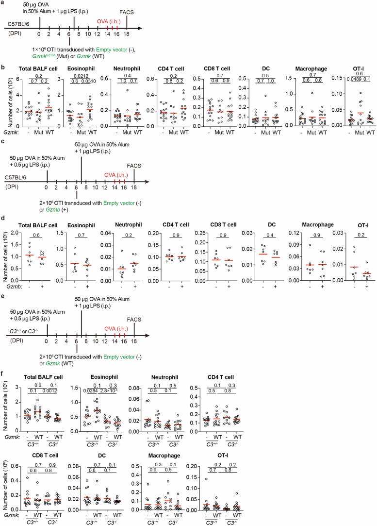 https://cdn.ncbi.nlm.nih.gov/pmc/blobs/fb71/11821540/5db679447ae1/41586_2024_8395_Fig14_ESM.jpg