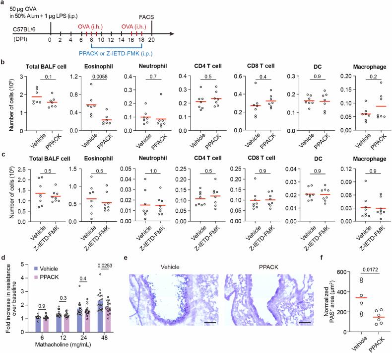 https://cdn.ncbi.nlm.nih.gov/pmc/blobs/fb71/11821540/5e94277ee761/41586_2024_8395_Fig15_ESM.jpg
