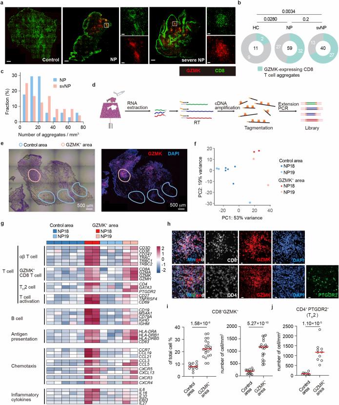 https://cdn.ncbi.nlm.nih.gov/pmc/blobs/fb71/11821540/6418b0d2af9d/41586_2024_8395_Fig11_ESM.jpg