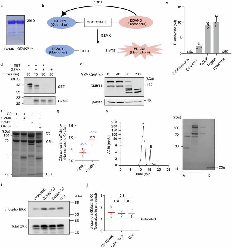 https://cdn.ncbi.nlm.nih.gov/pmc/blobs/fb71/11821540/691ac768f60e/41586_2024_8395_Fig9_ESM.jpg