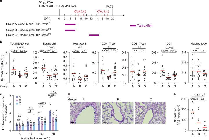 https://cdn.ncbi.nlm.nih.gov/pmc/blobs/fb71/11821540/9d83f6946c8b/41586_2024_8395_Fig5_HTML.jpg