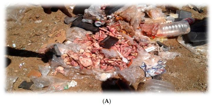 https://cdn.ncbi.nlm.nih.gov/pmc/blobs/fb75/6603953/b4b4543ef630/ijerph-16-02059-g006a.jpg