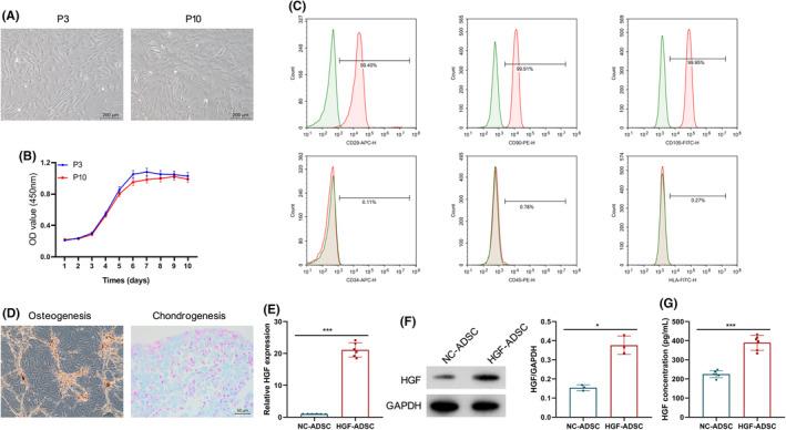 https://cdn.ncbi.nlm.nih.gov/pmc/blobs/fb76/11626330/bd6ab0ca0723/JOCD-23--g002.jpg
