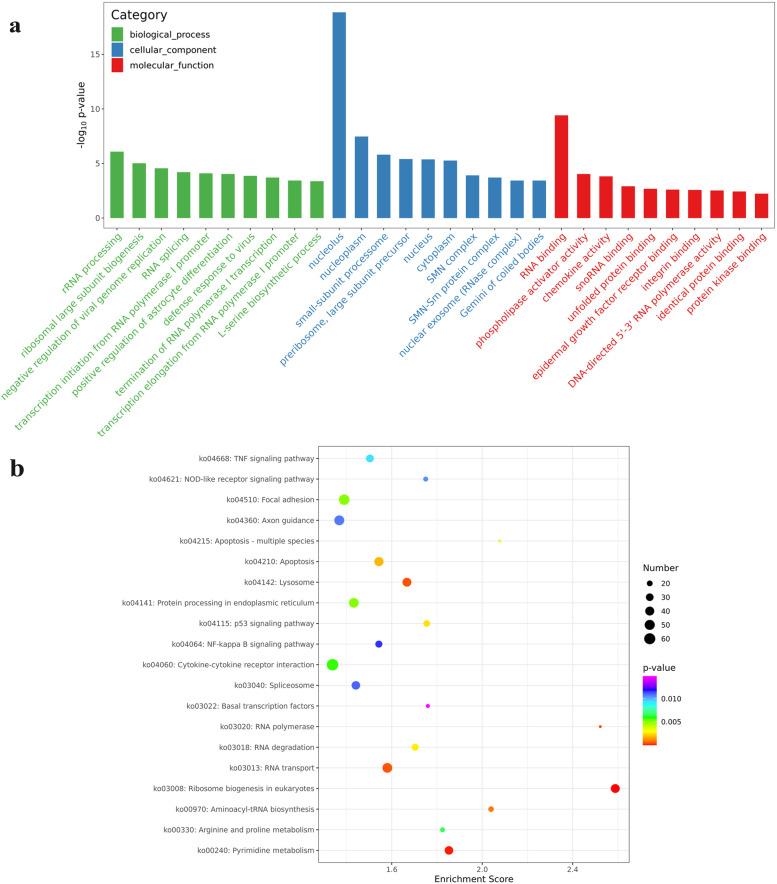 https://cdn.ncbi.nlm.nih.gov/pmc/blobs/fb76/9743572/54b70071ea0f/12917_2022_3533_Fig4_HTML.jpg