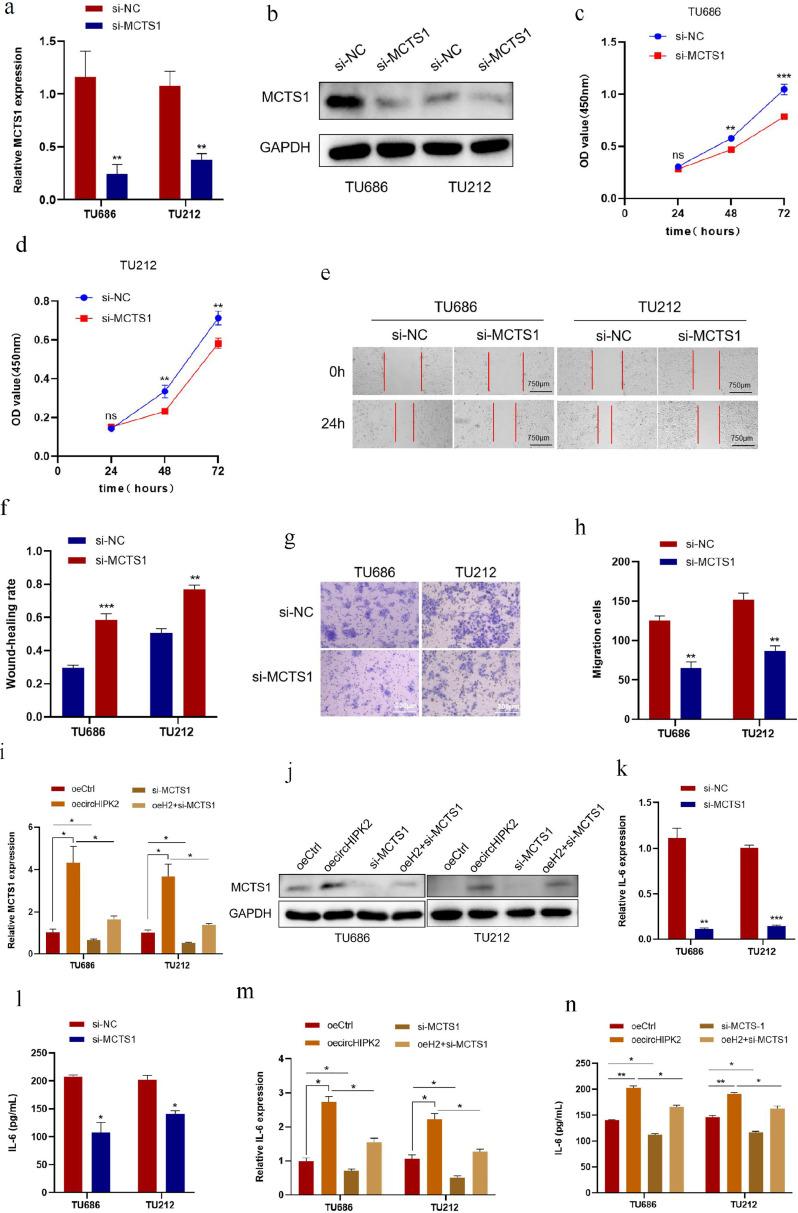 https://cdn.ncbi.nlm.nih.gov/pmc/blobs/fb77/12018564/2cefb7eeea25/gr6.jpg