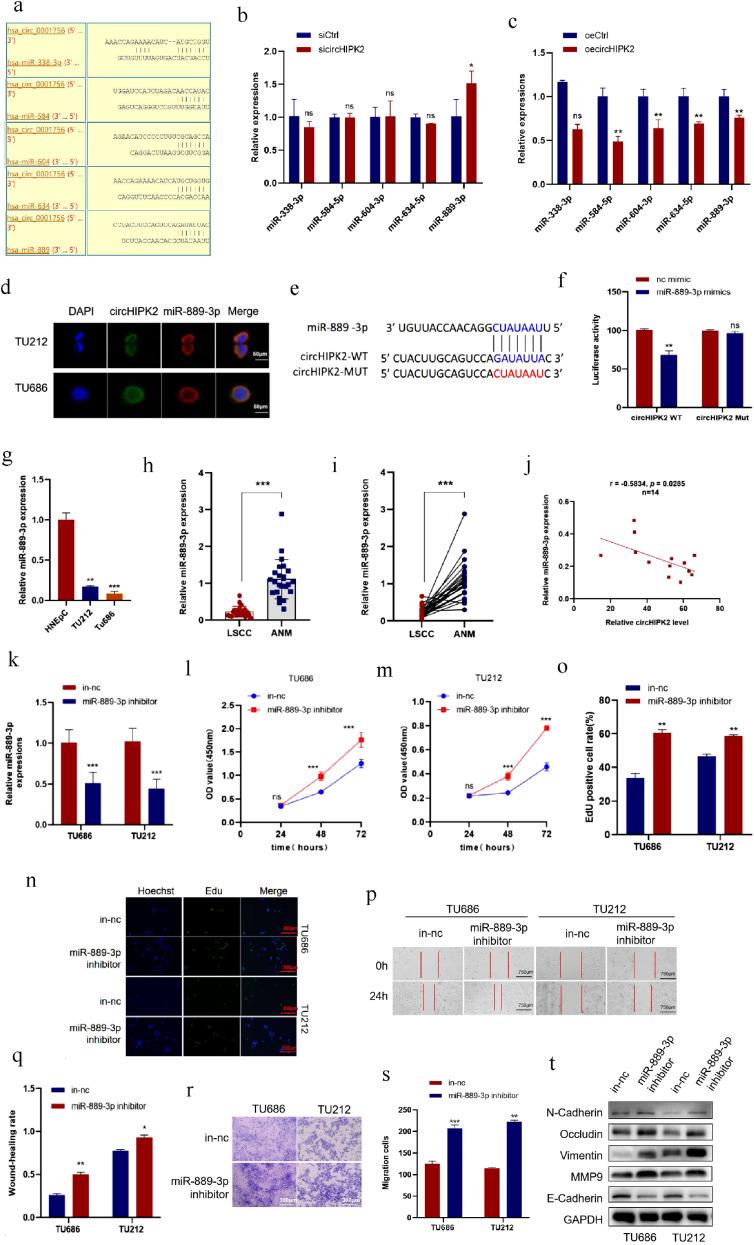 https://cdn.ncbi.nlm.nih.gov/pmc/blobs/fb77/12018564/8df3c6ba1381/gr3.jpg