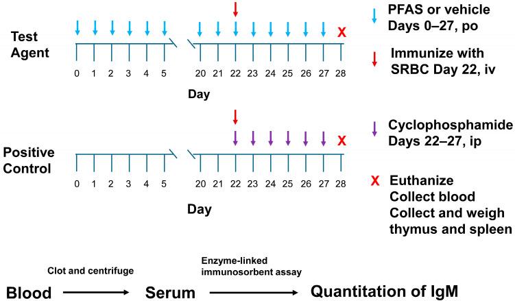 https://cdn.ncbi.nlm.nih.gov/pmc/blobs/fb78/12197378/12004c4bec16/toxics-13-00490-g002.jpg