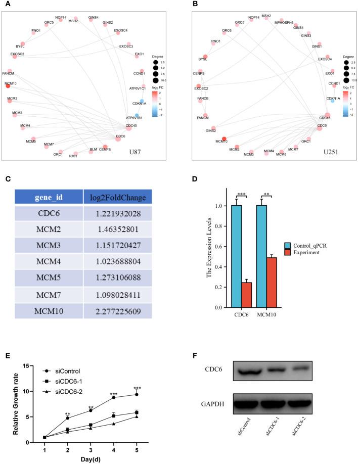 https://cdn.ncbi.nlm.nih.gov/pmc/blobs/fb79/10277651/2bdb9054d7cb/fcimb-13-1192589-g005.jpg