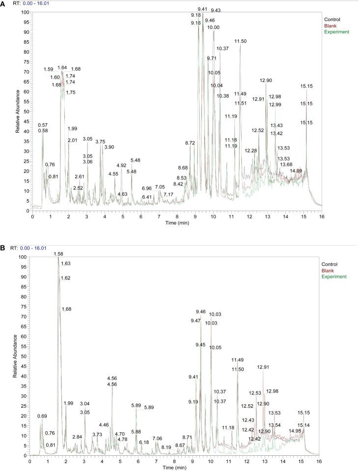 https://cdn.ncbi.nlm.nih.gov/pmc/blobs/fb79/10277651/ccc9003f3a81/fcimb-13-1192589-g001.jpg