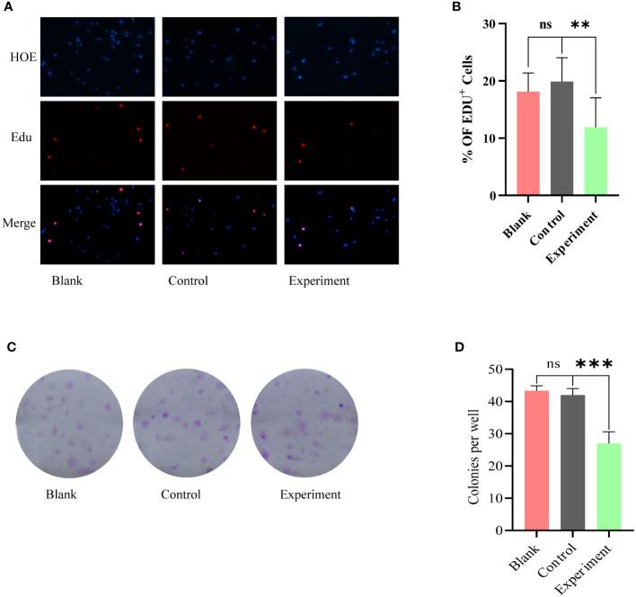 https://cdn.ncbi.nlm.nih.gov/pmc/blobs/fb79/10277651/e0ba867ba963/fcimb-13-1192589-g003.jpg