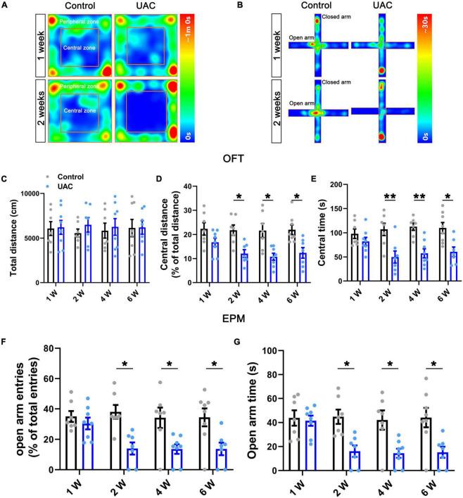 https://cdn.ncbi.nlm.nih.gov/pmc/blobs/fb7a/9807610/6732cf6c7807/fncel-16-995345-g001.jpg