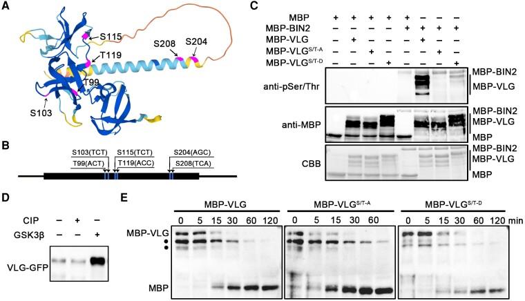 https://cdn.ncbi.nlm.nih.gov/pmc/blobs/fb7b/10052386/9d509b82bebb/koad007f6.jpg