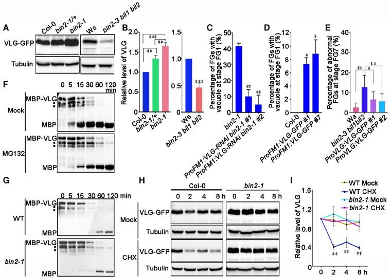 https://cdn.ncbi.nlm.nih.gov/pmc/blobs/fb7b/10052386/a8c990ff09d5/koad007f5.jpg