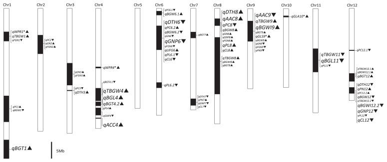 https://cdn.ncbi.nlm.nih.gov/pmc/blobs/fb7c/5515307/310355dce901/67_16155_3.jpg