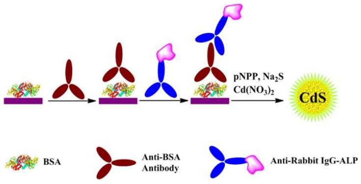 https://cdn.ncbi.nlm.nih.gov/pmc/blobs/fb7d/10536125/381c0cf77c23/molecules-28-06565-g012.jpg