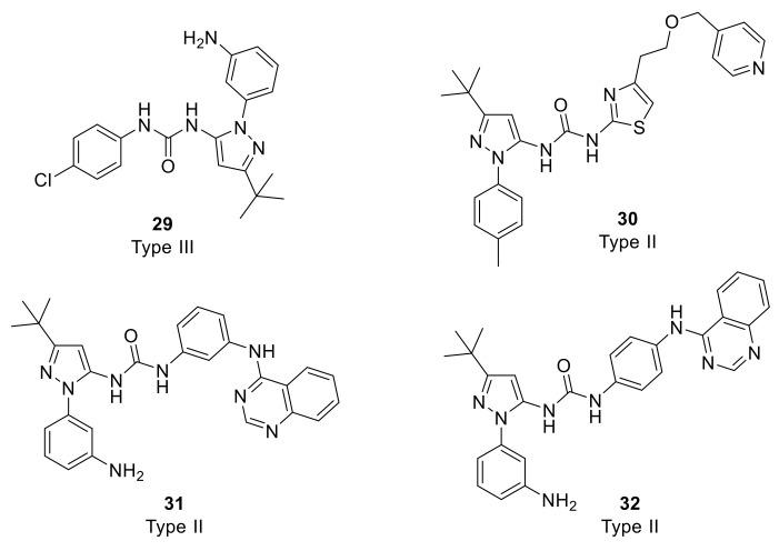 https://cdn.ncbi.nlm.nih.gov/pmc/blobs/fb7d/8235339/8cd0737bb9c5/ijms-22-06535-g010.jpg