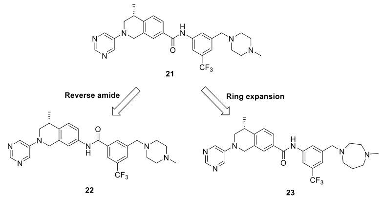 https://cdn.ncbi.nlm.nih.gov/pmc/blobs/fb7d/8235339/bff7982fb766/ijms-22-06535-g007.jpg
