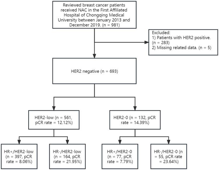 https://cdn.ncbi.nlm.nih.gov/pmc/blobs/fb80/10162099/24bcf171e74b/BCTT-15-327-g0001.jpg