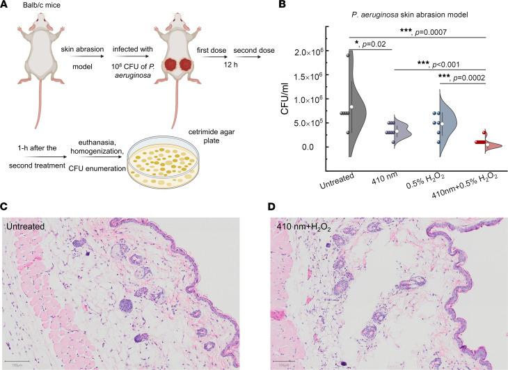 https://cdn.ncbi.nlm.nih.gov/pmc/blobs/fb80/9220836/21c7c0adb8d7/jciinsight-7-153079-g083.jpg