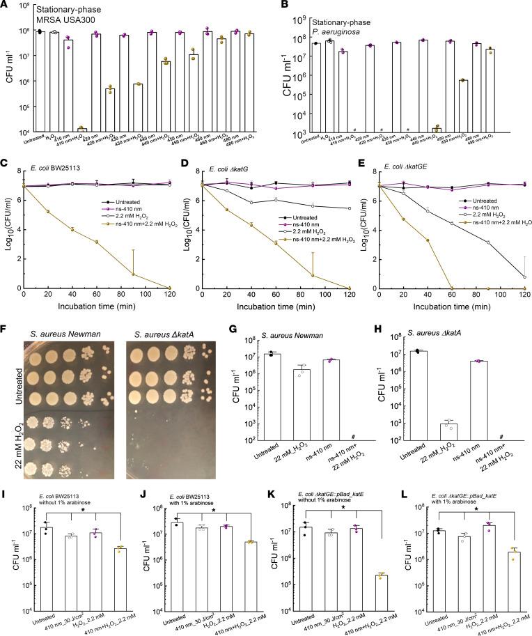 https://cdn.ncbi.nlm.nih.gov/pmc/blobs/fb80/9220836/aa67e0a967ec/jciinsight-7-153079-g078.jpg