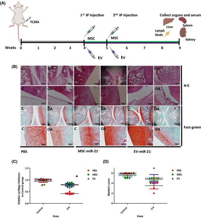 https://cdn.ncbi.nlm.nih.gov/pmc/blobs/fb80/9584990/abe818b756f0/18_2022_4580_Fig2_HTML.jpg