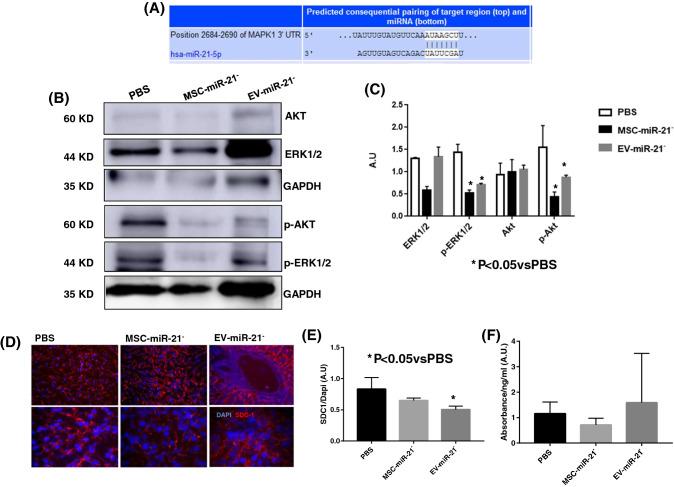 https://cdn.ncbi.nlm.nih.gov/pmc/blobs/fb80/9584990/db2a37c6726d/18_2022_4580_Fig5_HTML.jpg