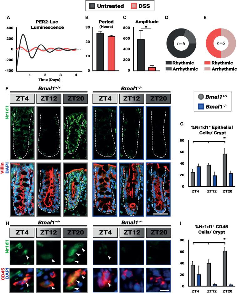 https://cdn.ncbi.nlm.nih.gov/pmc/blobs/fb81/8863668/08f303c3880d/fcimb-12-773413-g002.jpg