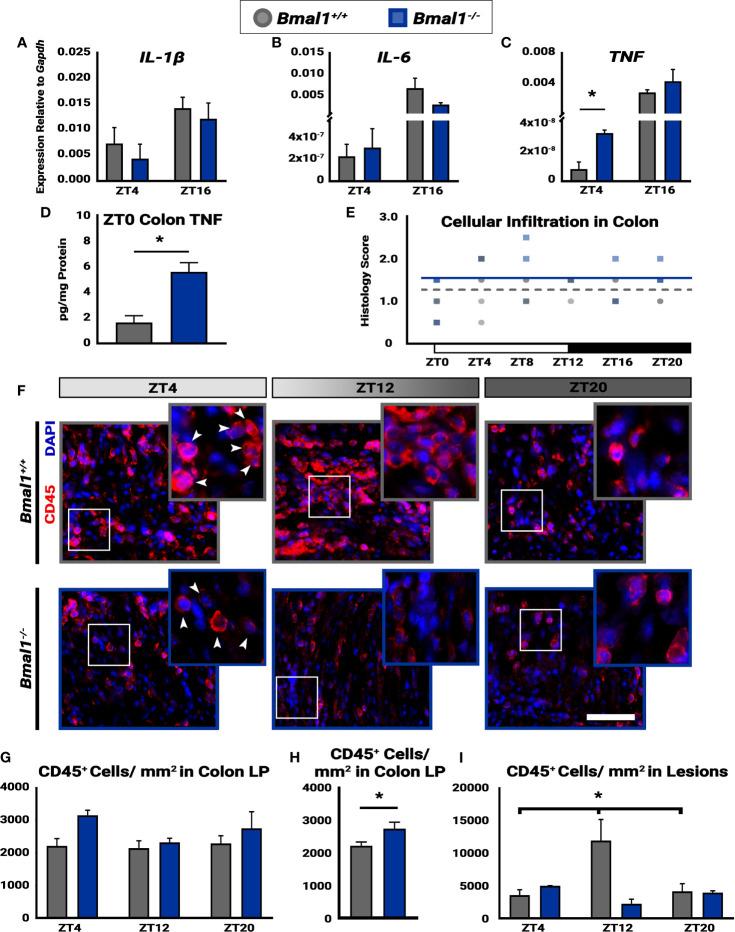 https://cdn.ncbi.nlm.nih.gov/pmc/blobs/fb81/8863668/780a703c8473/fcimb-12-773413-g006.jpg
