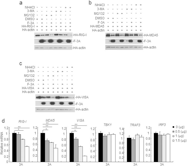 https://cdn.ncbi.nlm.nih.gov/pmc/blobs/fb82/4756384/3764e06b2639/srep21888-f7.jpg