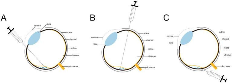 https://cdn.ncbi.nlm.nih.gov/pmc/blobs/fb84/12075335/336cca1d83ac/fvets-12-1574519-g001.jpg