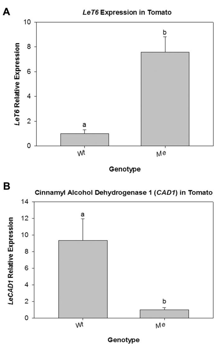 https://cdn.ncbi.nlm.nih.gov/pmc/blobs/fb85/3642508/a53ffefde28a/fpls-04-00121-g007.jpg