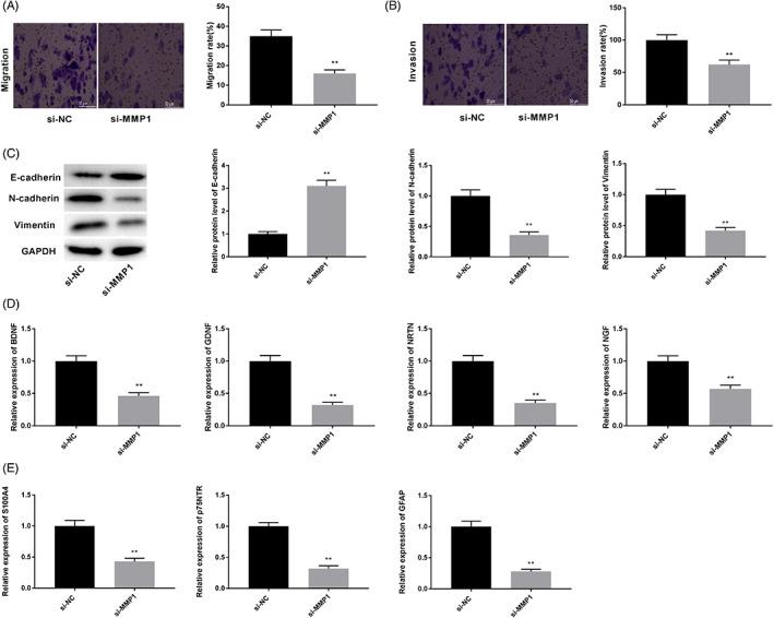 https://cdn.ncbi.nlm.nih.gov/pmc/blobs/fb87/9701873/7b59a175173b/JCLA-36-e24719-g001.jpg