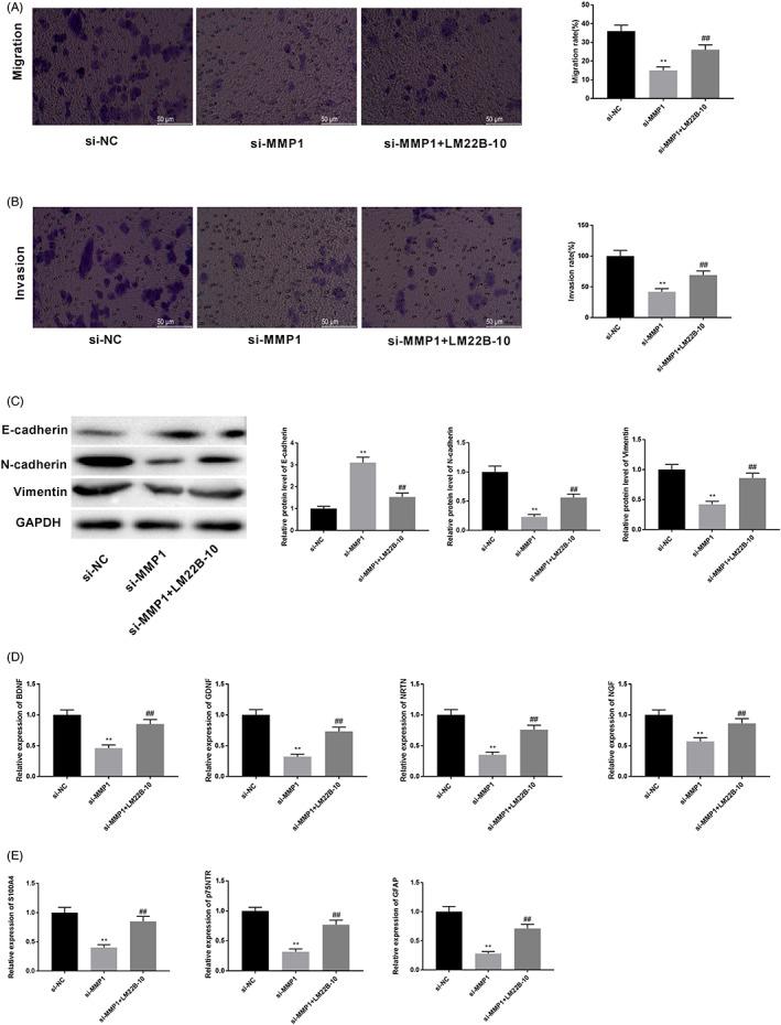 https://cdn.ncbi.nlm.nih.gov/pmc/blobs/fb87/9701873/8d74f72f2224/JCLA-36-e24719-g005.jpg