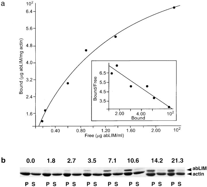 https://cdn.ncbi.nlm.nih.gov/pmc/blobs/fb88/2141644/1de5033812c8/JCB.29168f7.jpg