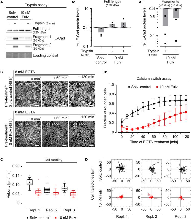 https://cdn.ncbi.nlm.nih.gov/pmc/blobs/fb88/7607435/5ffd9e6bc778/gr7.jpg