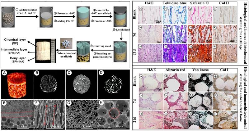 https://cdn.ncbi.nlm.nih.gov/pmc/blobs/fb88/9845524/9374f3dea27b/rbac109f2.jpg