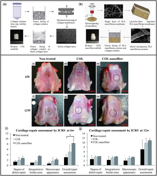 https://cdn.ncbi.nlm.nih.gov/pmc/blobs/fb88/9845524/cd2a0f2e03f1/rbac109f3.jpg