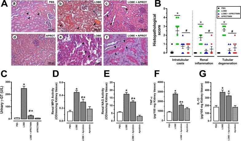 https://cdn.ncbi.nlm.nih.gov/pmc/blobs/fb8b/6392336/440a9df02357/pntd.0007197.g005.jpg