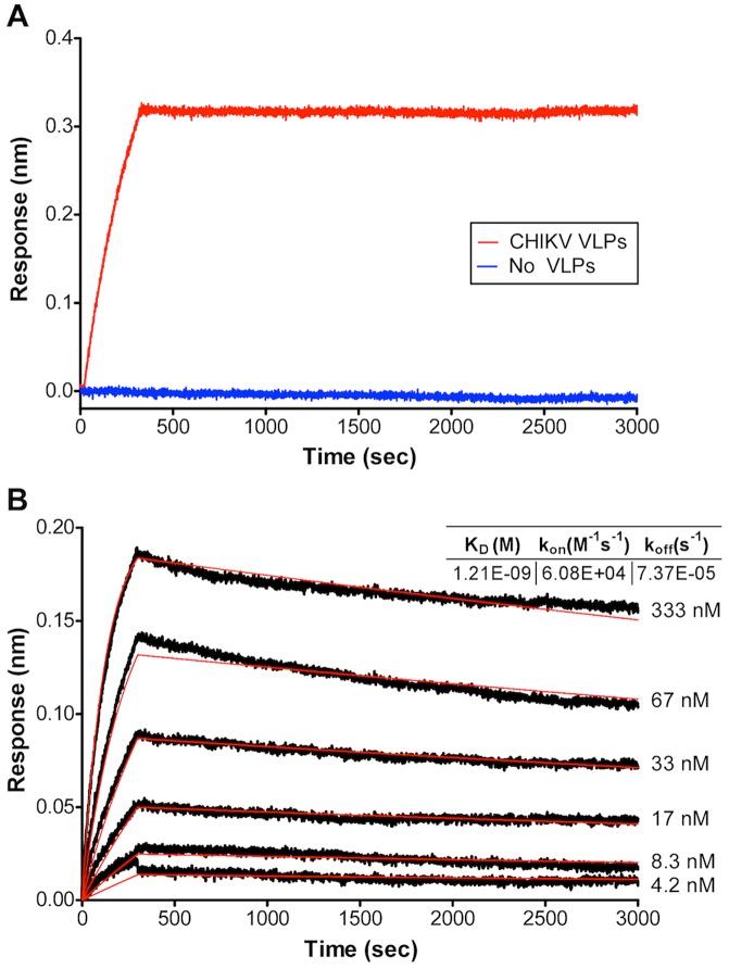 https://cdn.ncbi.nlm.nih.gov/pmc/blobs/fb8c/3772074/6288ad8967db/pntd.0002423.g002.jpg
