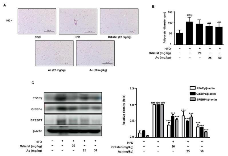 https://cdn.ncbi.nlm.nih.gov/pmc/blobs/fb8f/8470677/619f543e4527/nutrients-13-02992-g003.jpg