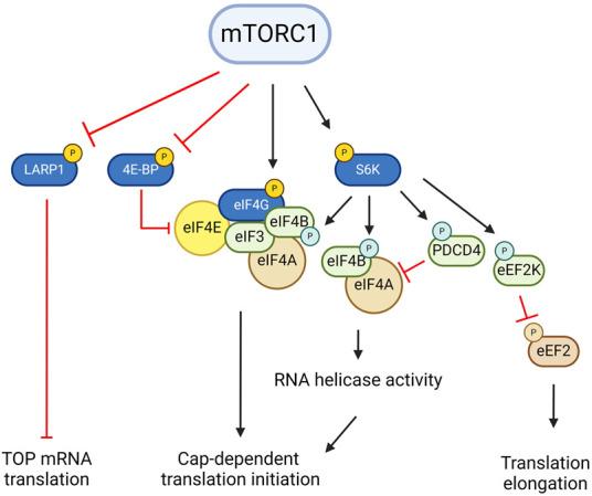 https://cdn.ncbi.nlm.nih.gov/pmc/blobs/fb92/11789495/ab4ea5f098b9/109f02.jpg
