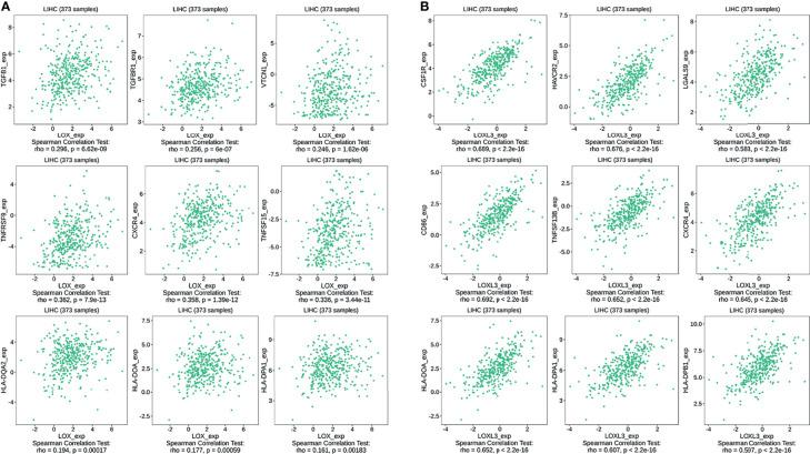https://cdn.ncbi.nlm.nih.gov/pmc/blobs/fb92/8931681/3345b4c0d862/fonc-12-843880-g010.jpg