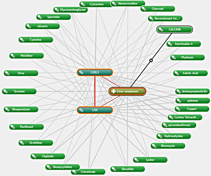 https://cdn.ncbi.nlm.nih.gov/pmc/blobs/fb92/8931681/c6af1e336ca8/fonc-12-843880-g006.jpg