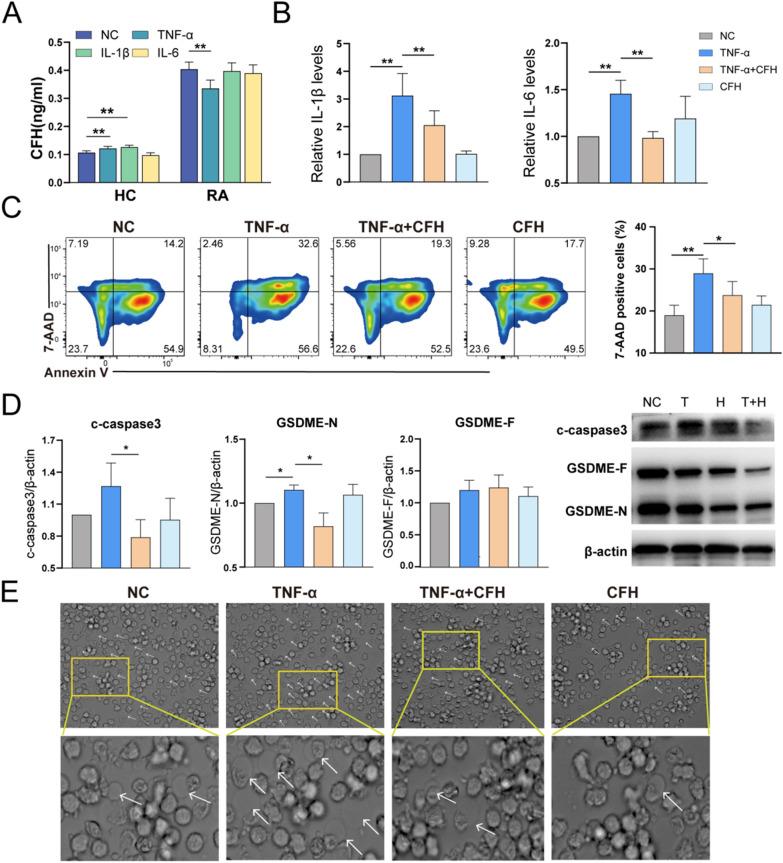 https://cdn.ncbi.nlm.nih.gov/pmc/blobs/fb93/10668393/5aba23411d19/12967_2023_4730_Fig2_HTML.jpg
