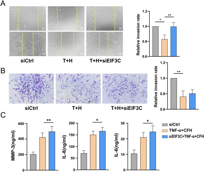https://cdn.ncbi.nlm.nih.gov/pmc/blobs/fb93/10668393/83250728ee52/12967_2023_4730_Fig5_HTML.jpg