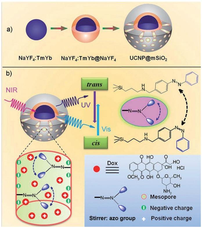 https://cdn.ncbi.nlm.nih.gov/pmc/blobs/fb93/5304765/97cc35bfeedd/nanomaterials-05-02019-g004.jpg