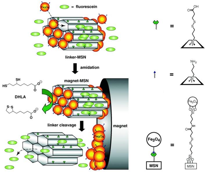 https://cdn.ncbi.nlm.nih.gov/pmc/blobs/fb93/5304765/f1c4cae32cd2/nanomaterials-05-02019-g001.jpg