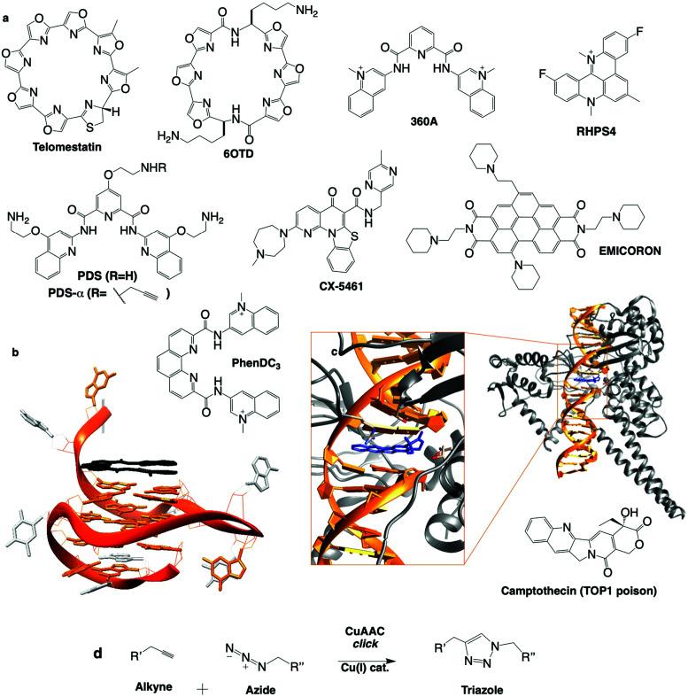 https://cdn.ncbi.nlm.nih.gov/pmc/blobs/fb96/8885165/124580fd4760/d0cb00151a-f7.jpg